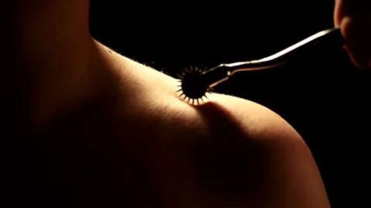 How to Choose a BDSM Pinwheel