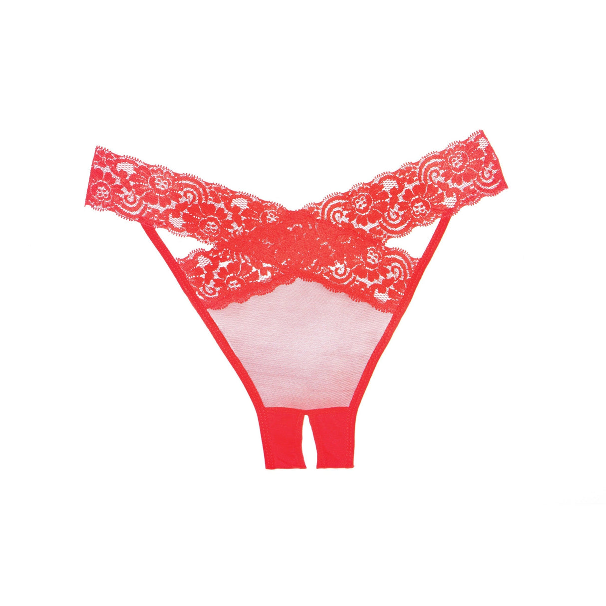Allure Adore Sheer & Lace Desire Panty