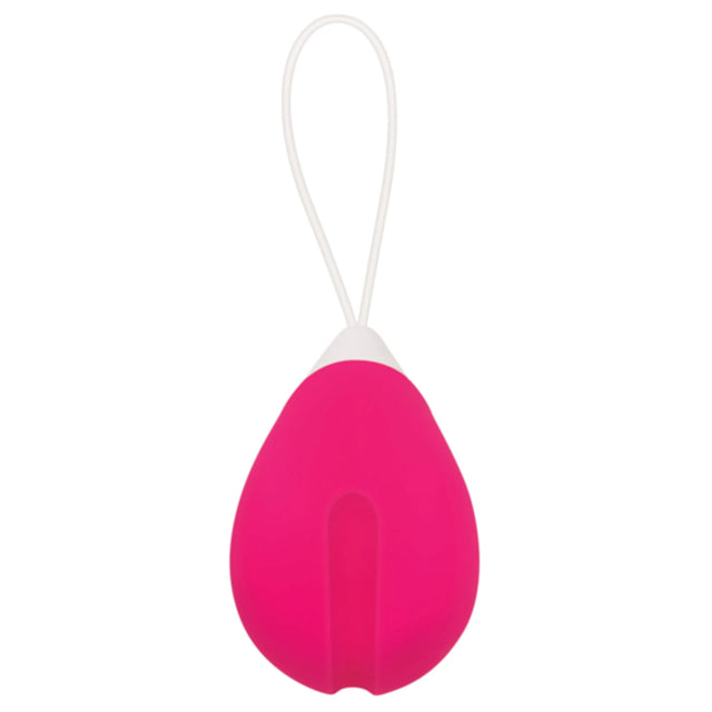 Evolved Remote Control Egg Vibe