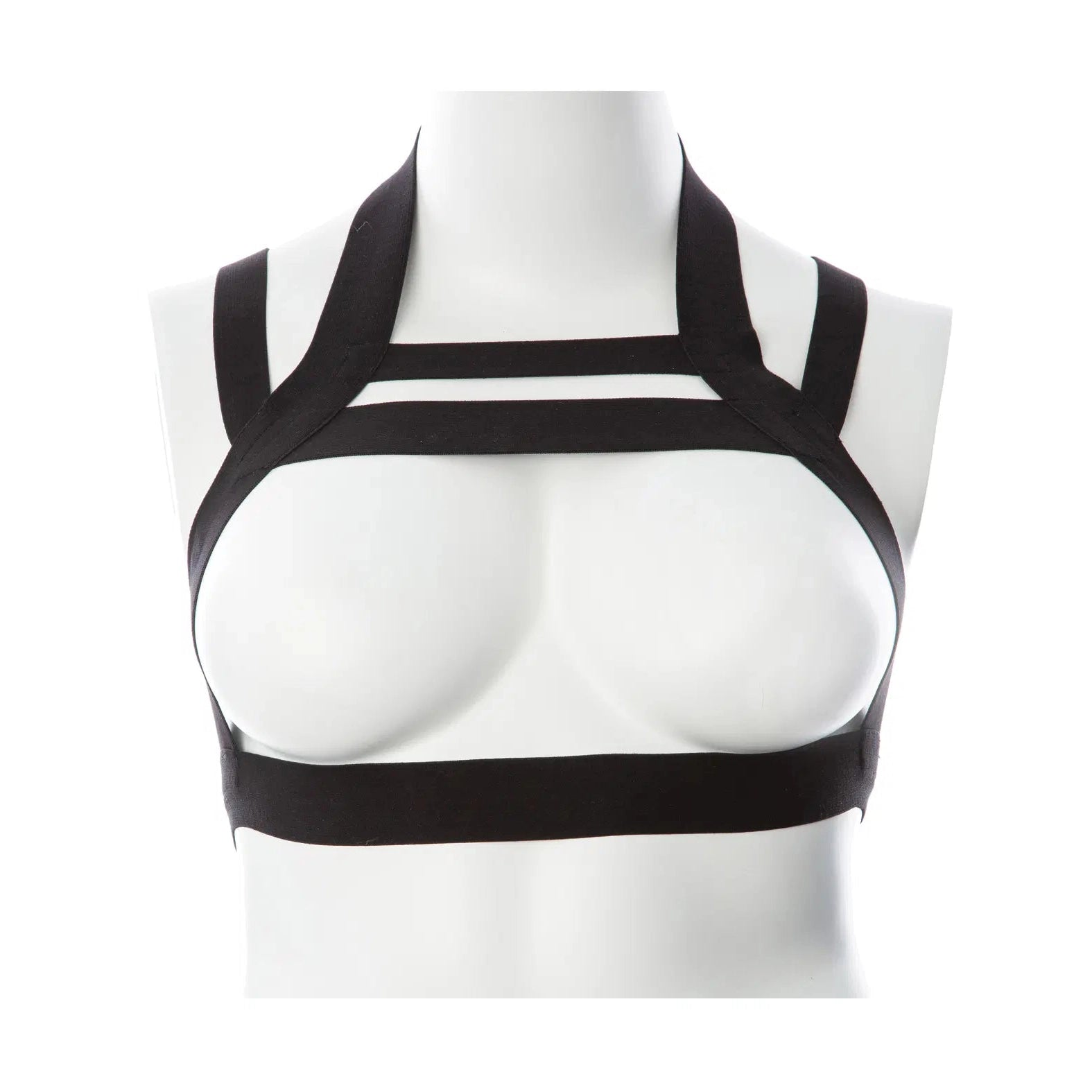 Gender Fluid Majesty Harness