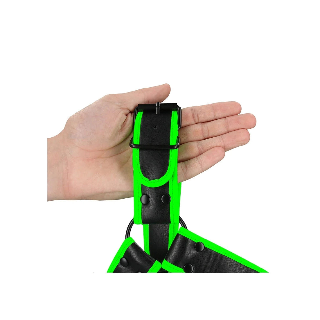 Glow In The Dark Chest Bulldog Harness