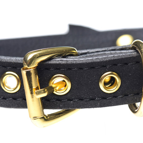 Golden Kitty Cat Bell Collar - Black