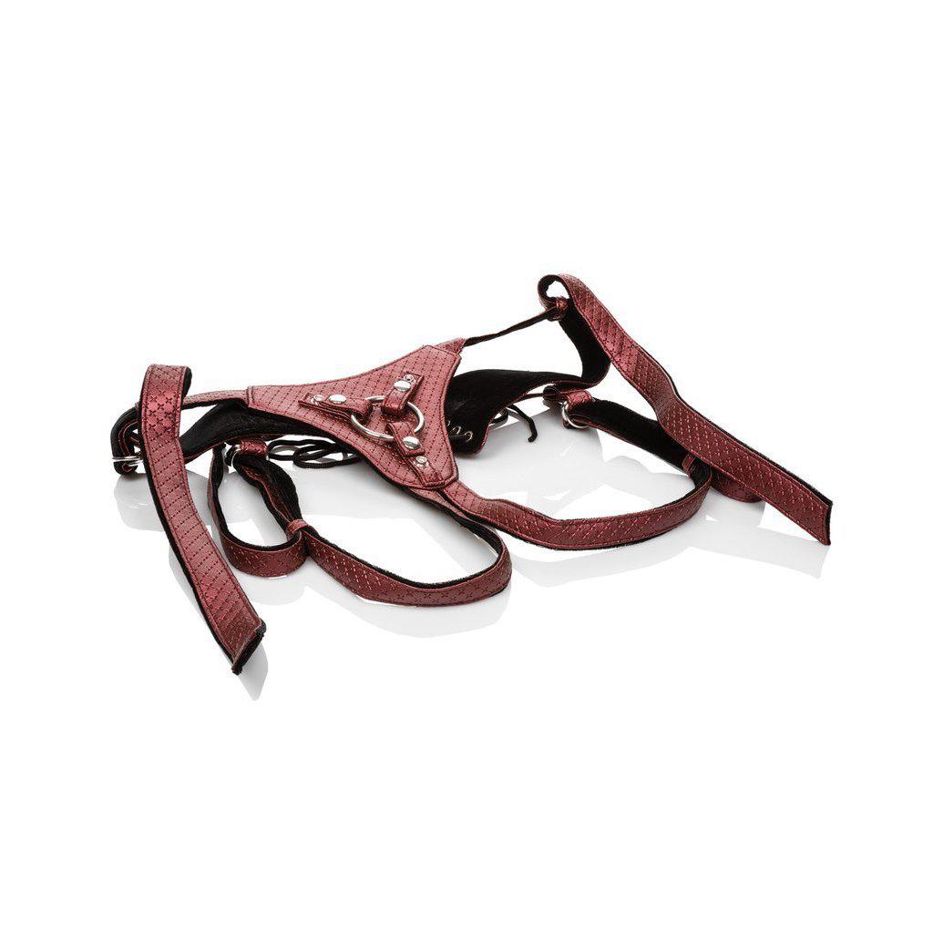 Her Royal Harness The Regal Queen