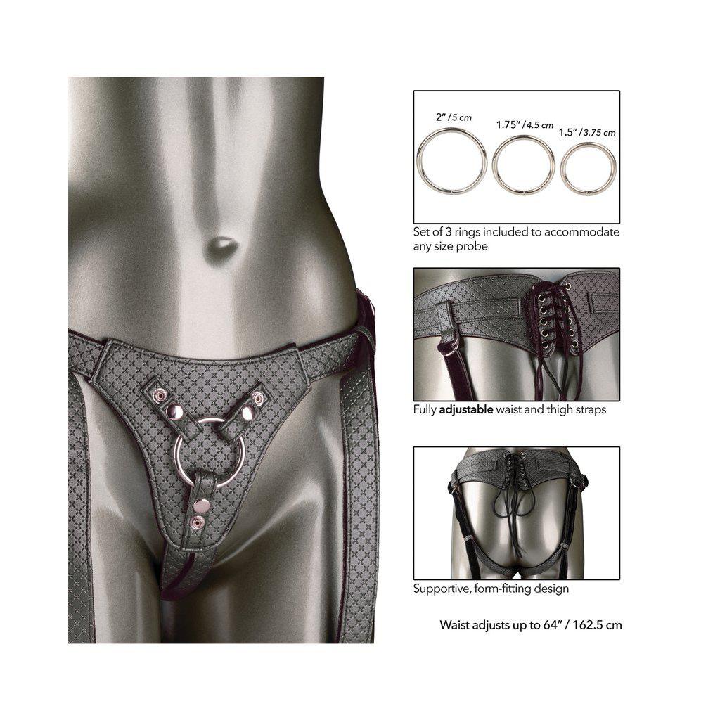 Her Royal Harness The Regal Queen