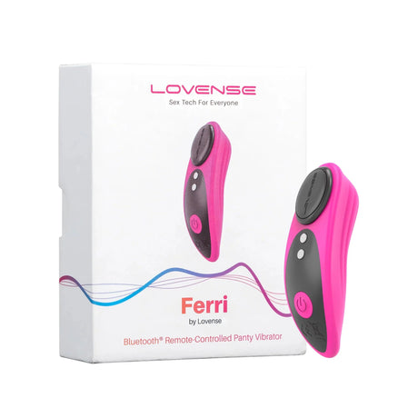 Lovense Ferri Magnetic Panty Vibrator