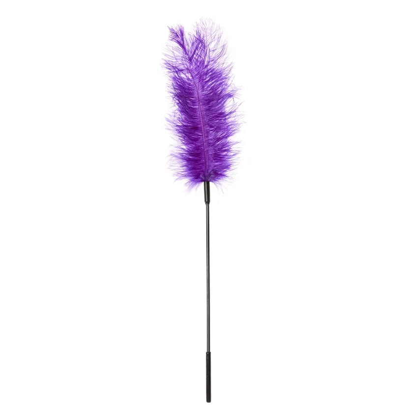 Ostrich Feather Tickler