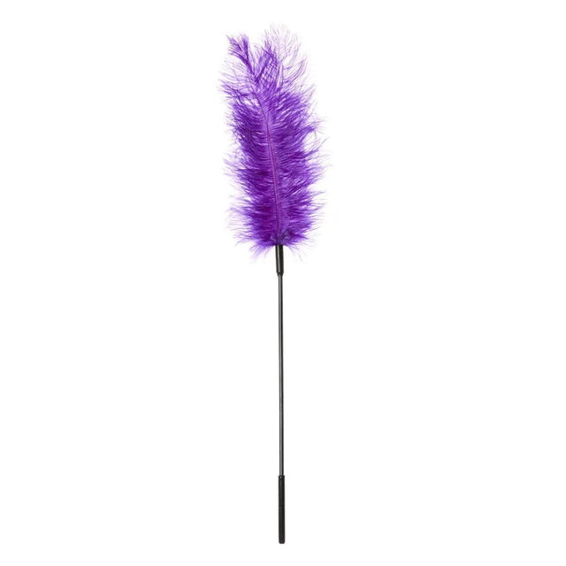 Ostrich Feather Tickler