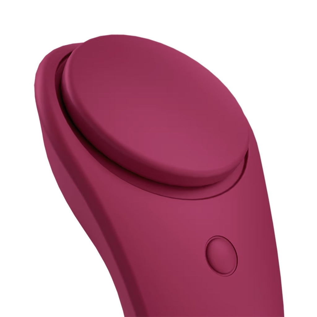 Satisfyer Sexy Secret Panty Vibe