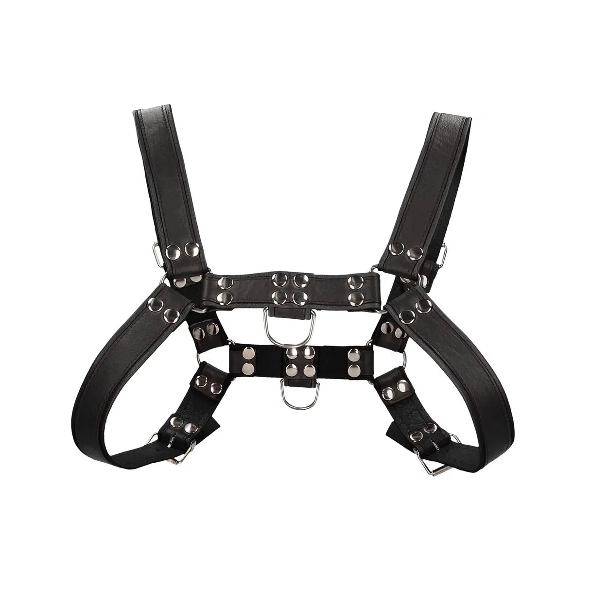Shots Uomo Chest Bulldog Harness
