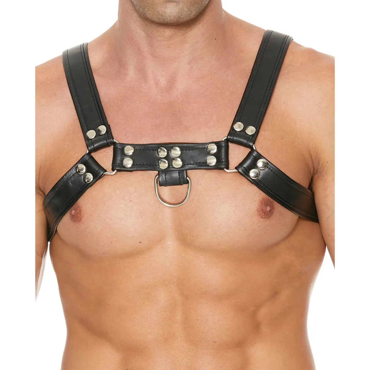 Shots Uomo Chest Bulldog Harness