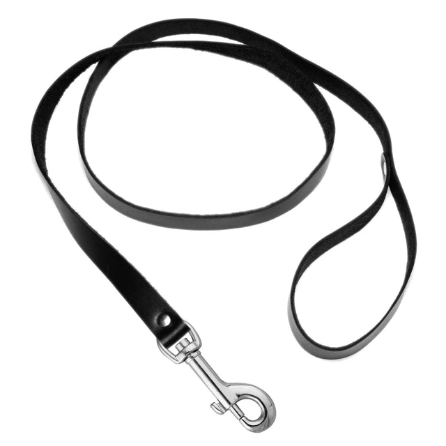 Sick Puppy Leash and Collar Set