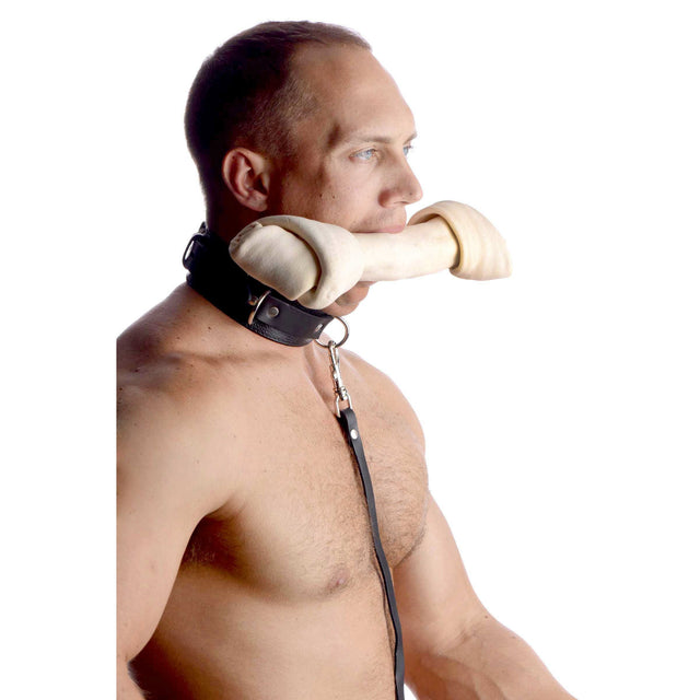 Sick Puppy Leash and Collar Set