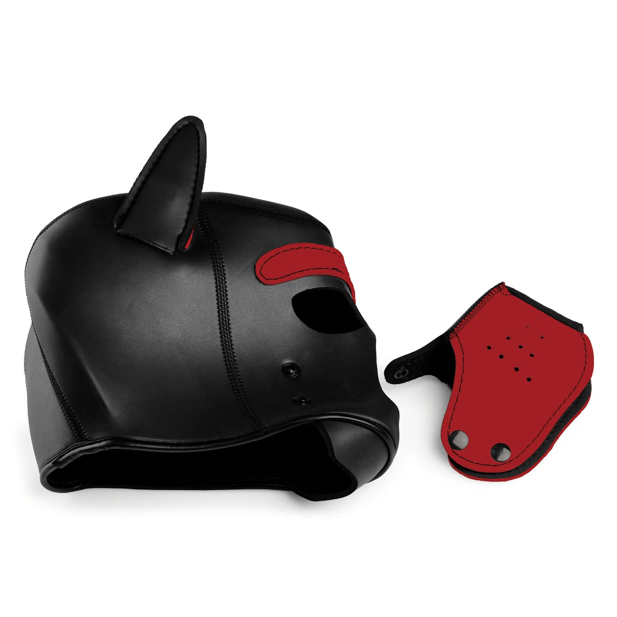 Spike Neoprene Puppy Hood