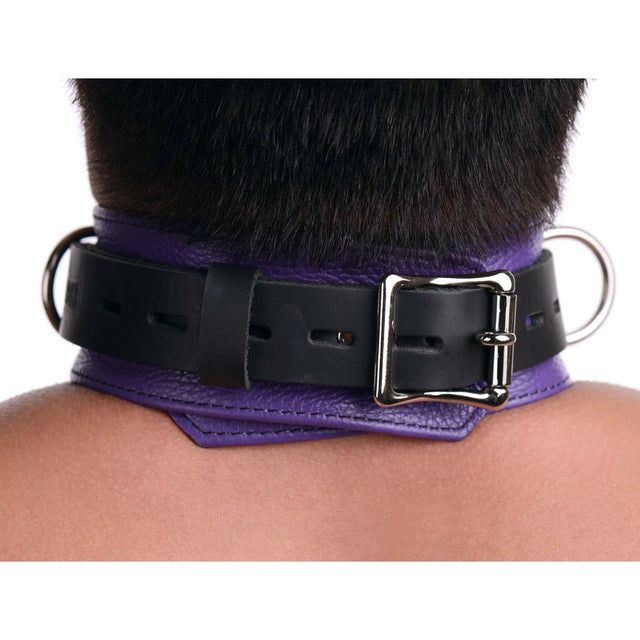 Strict Leather Deluxe Black and Purple Locking Collar