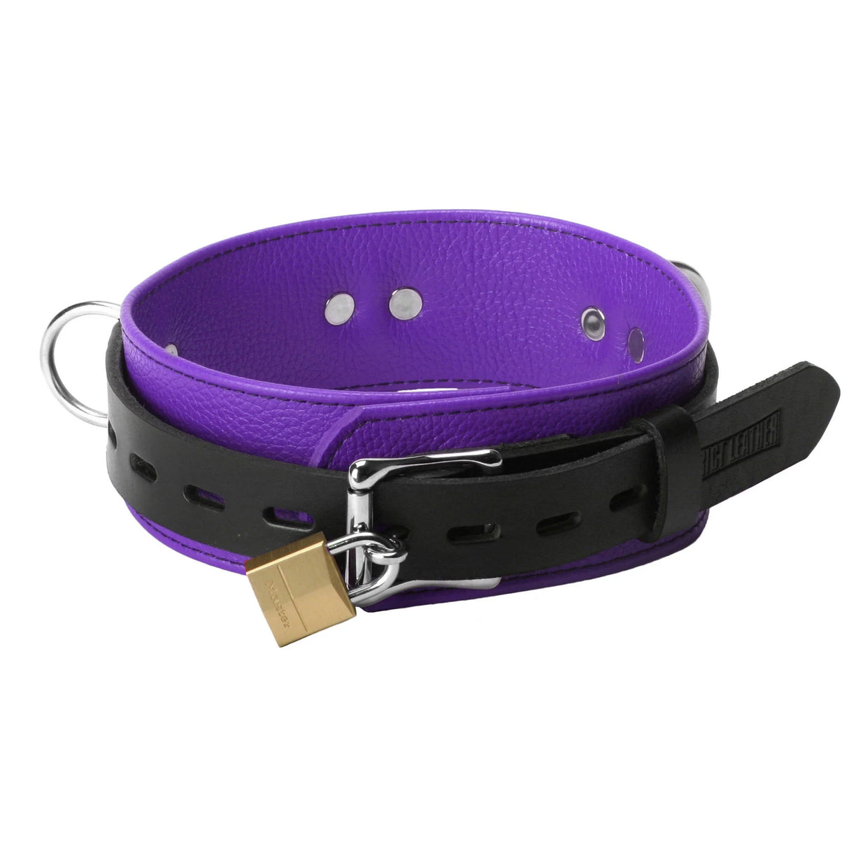 Strict Leather Deluxe Black and Purple Locking Collar