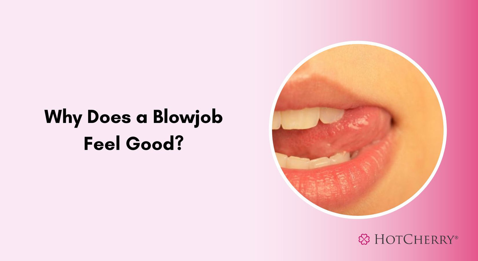 Why Does a Blowjob Feel Good?