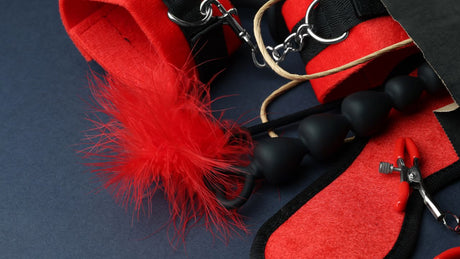 How to Choose a BDSM Tickler