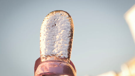 How to Choose a Tongue Vibrator