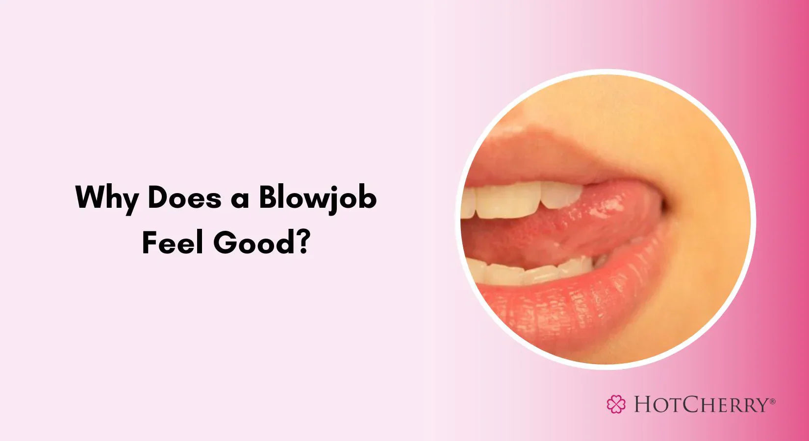 Why Does a Blowjob Feel Good?