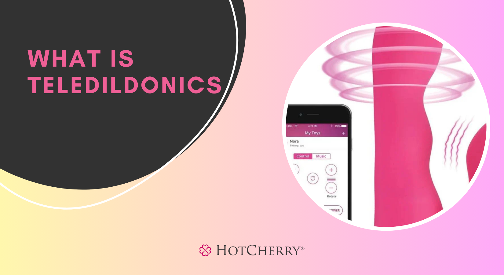 Teledildonics: What is It & the Future of Sex Toys