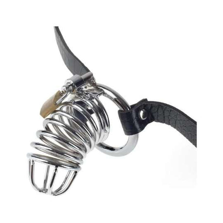 Metal Chastity Cages