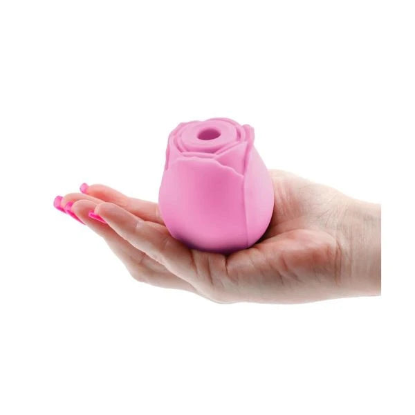 Clitoral Suction Vibrators