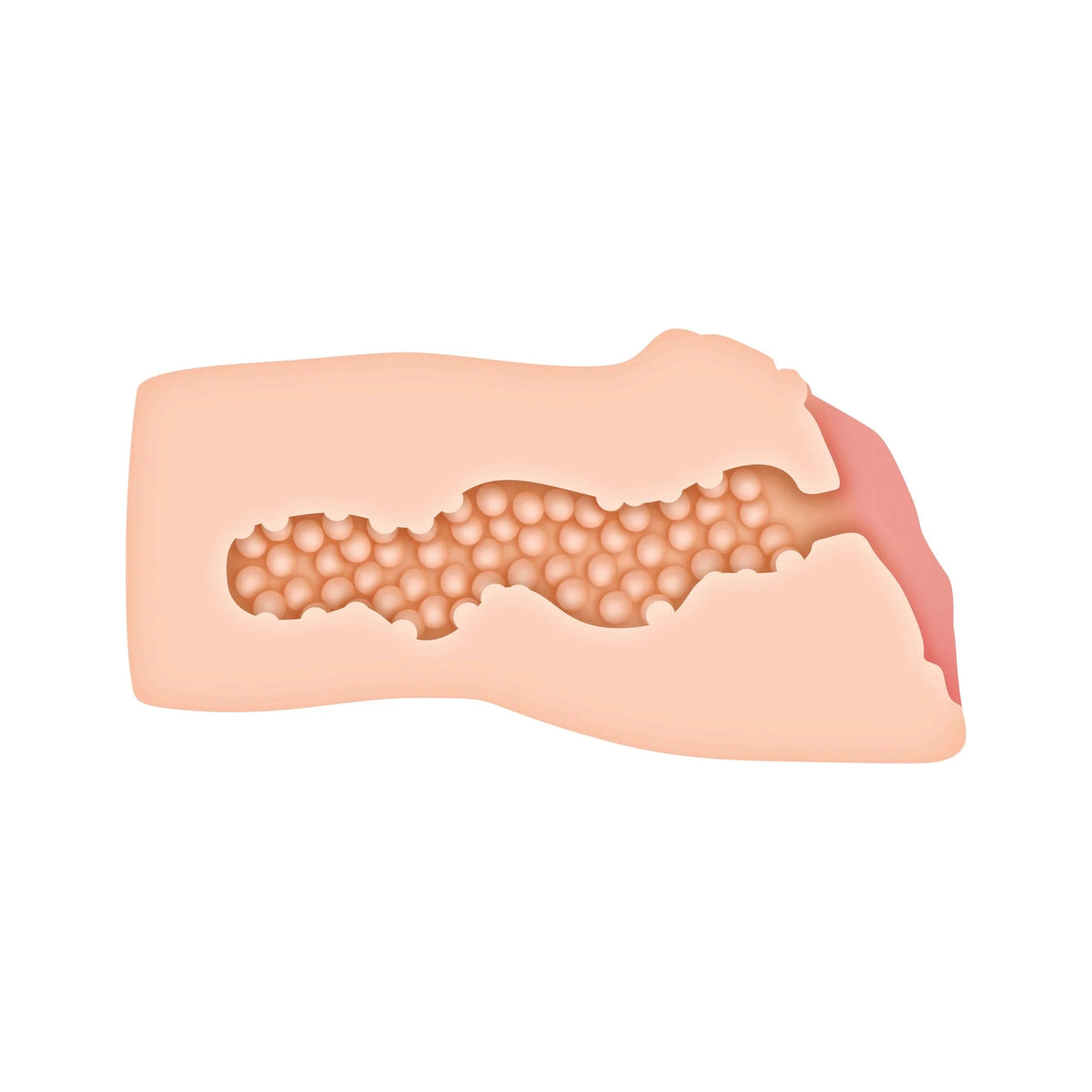 Alexis Texas Realistic Vagina Stroker