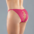 Allure Adore Lace Enchanted Belle Panty