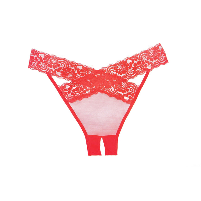 Allure Adore Sheer & Lace Desire Panty