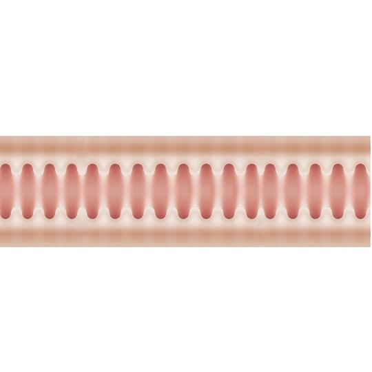 Asa Akira Pocket Pussy