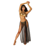 Dreamgirl Gypsy Dancer Costume
