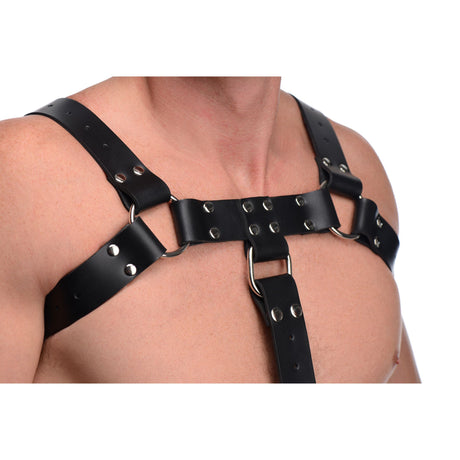 English Bull Dog Leather Chest Harness with Cock Strap