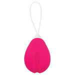 Remote Control Egg Vibe