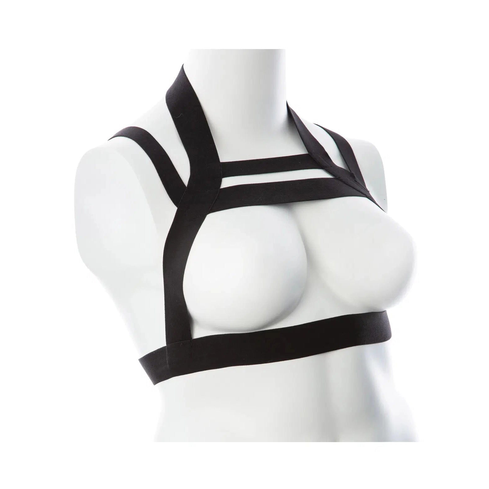 Gender Fluid Majesty Harness