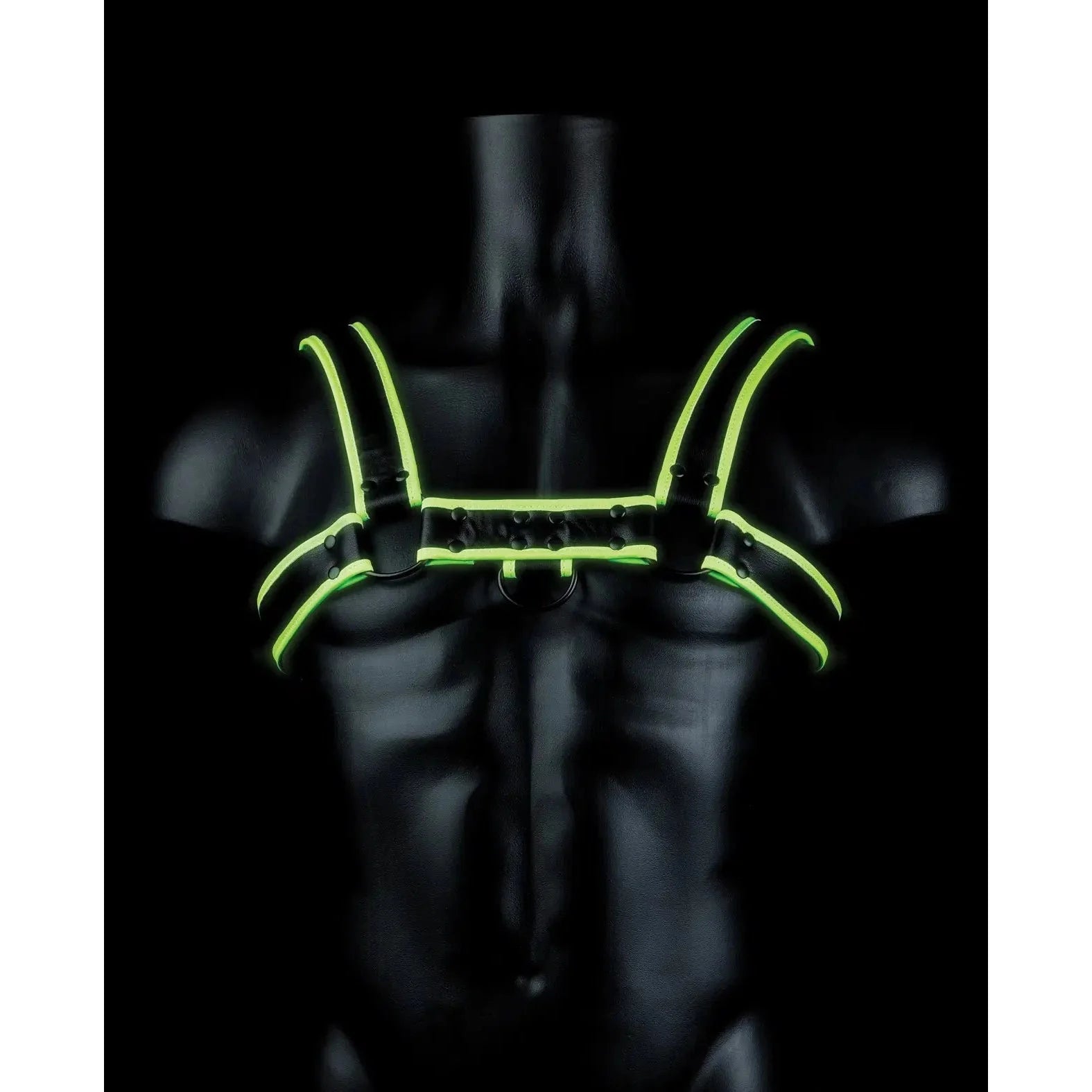 Glow In The Dark Chest Bulldog Harness