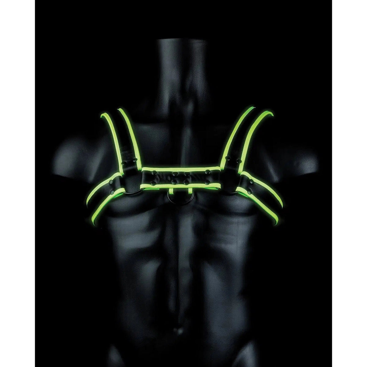 Glow In The Dark Chest Bulldog Harness