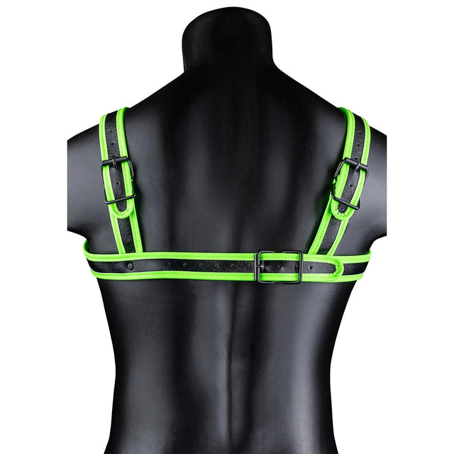 Glow in the Dark Buckle Harness