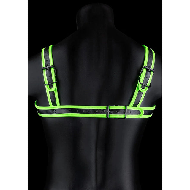 Glow in the Dark Buckle Harness