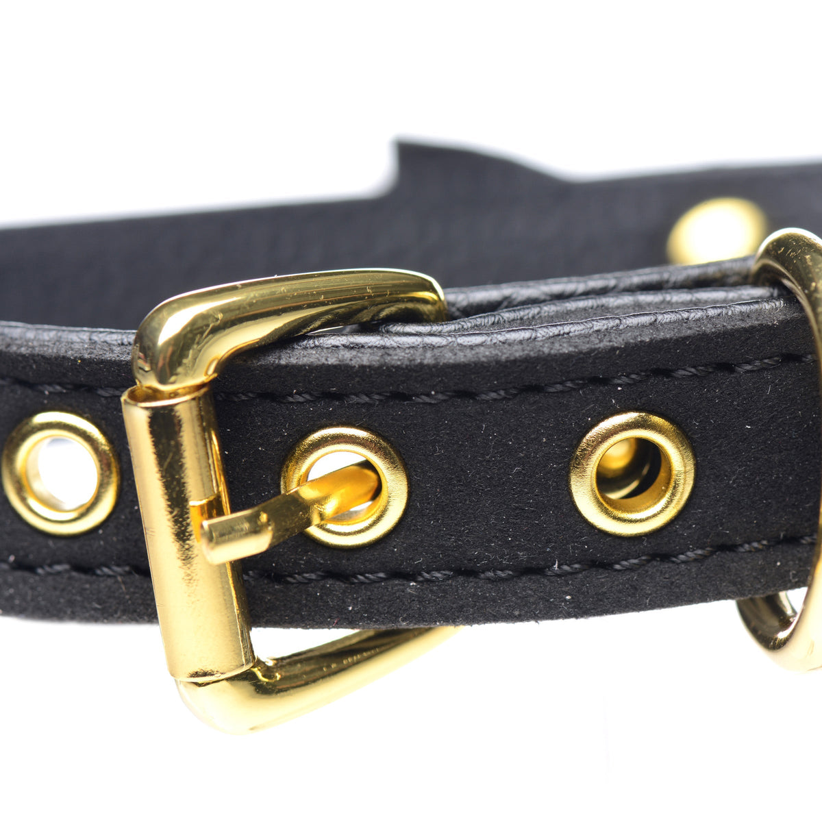 Golden Kitty Cat Bell Collar - Black