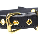 Golden Kitty Cat Bell Collar - Black