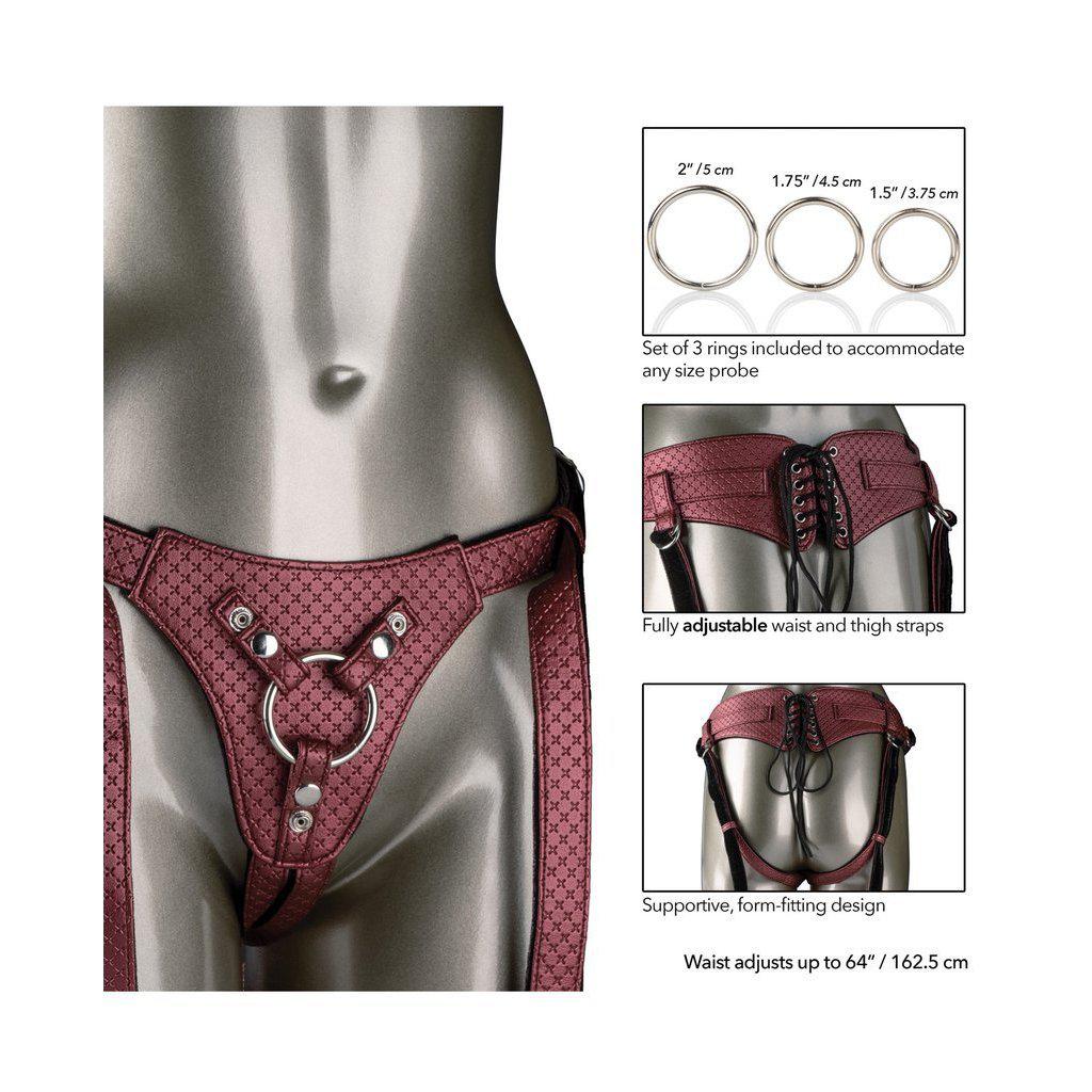 Her Royal Harness The Regal Queen