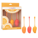 Kegel Training Set