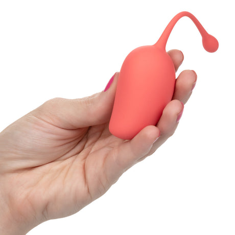 Kegel Training Set