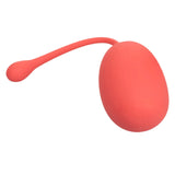 Kegel Training Set