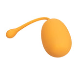 Kegel Training Set