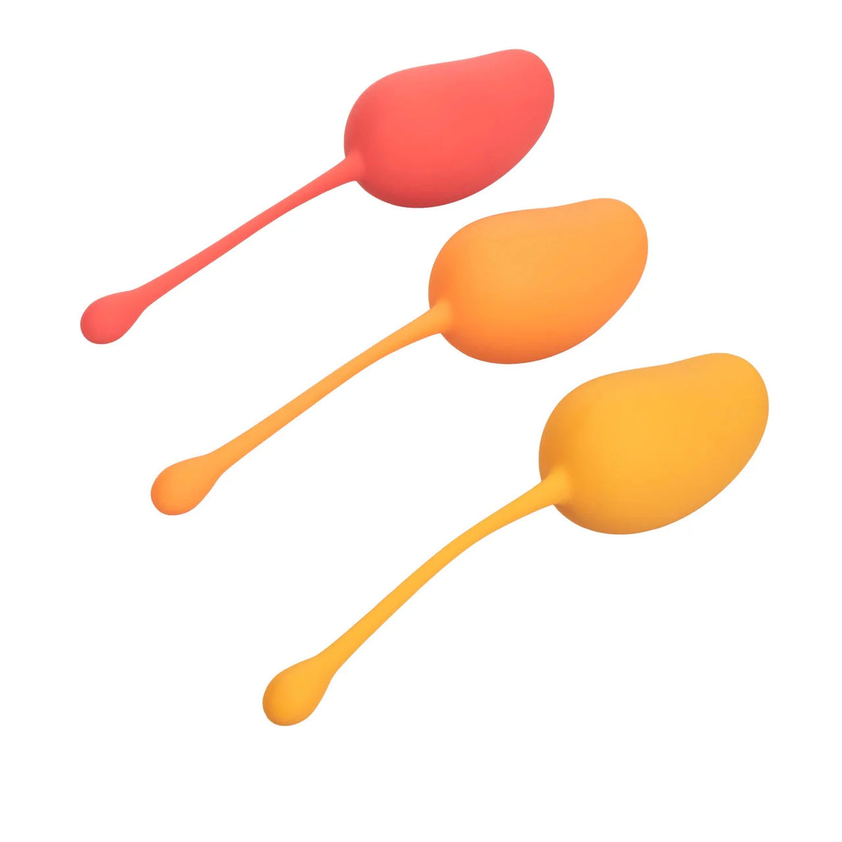 Kegel Training Set