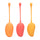 Kegel Training Set