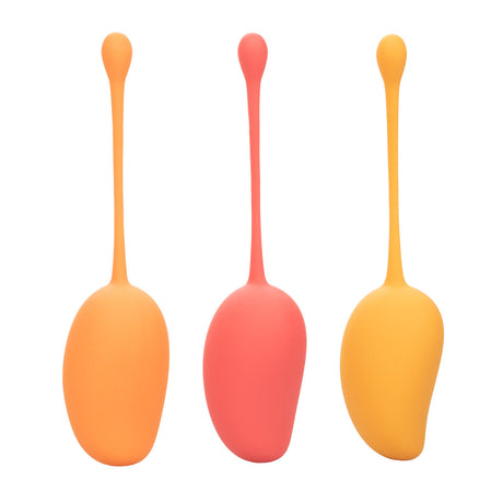 Kegel Training Set