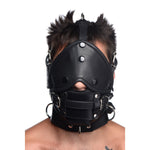 Leather Head Harness with Removeable Gag