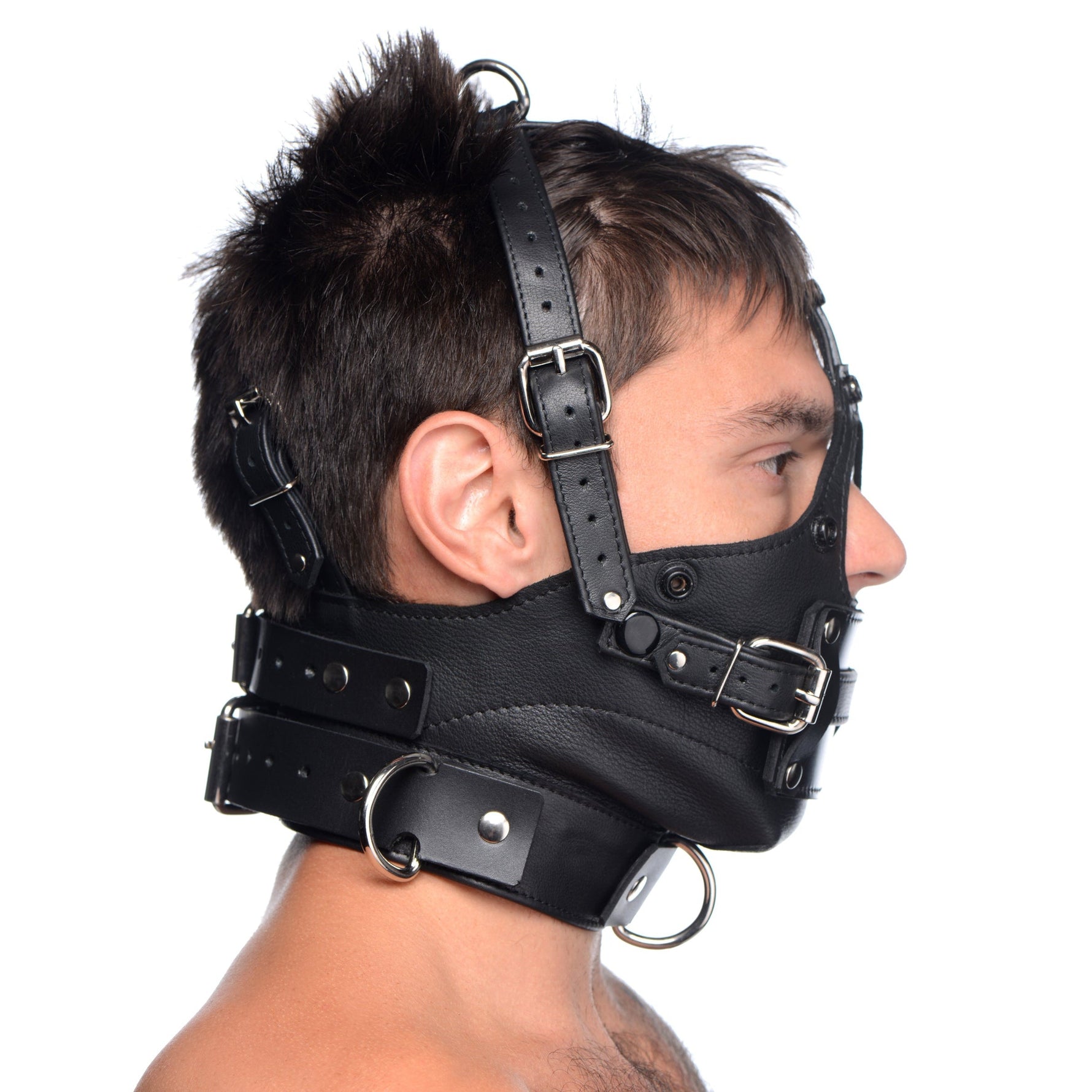 Leather Head Harness with Removeable Gag